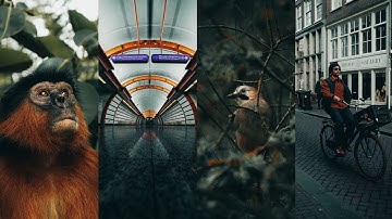 Dark moody faded Lightroom Presets tutorial Free Dng Giveaway #364