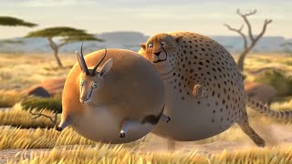 Funny FAT Animals - Animated Short Films by Rollin Wild  Animal Cartoon