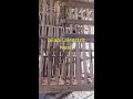تغريد بلبل ديالي بلابل العزيزية واسط