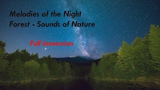 Sounds of the night forest | Rest with the sounds of nature | Sleep, relax, study, meditate