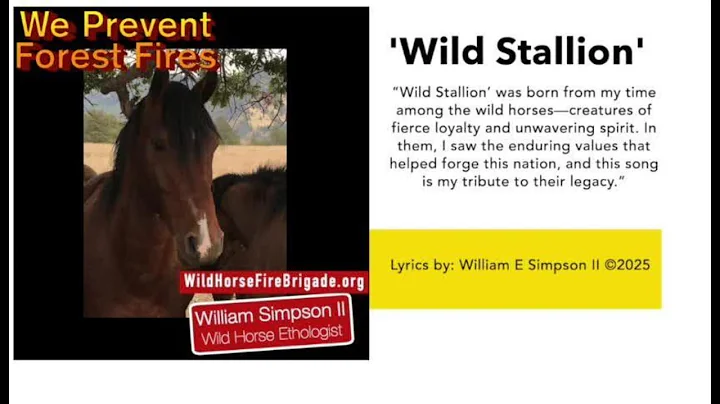'WILD STALLION' - a new county-western song written by William E. Simpson II © 2025