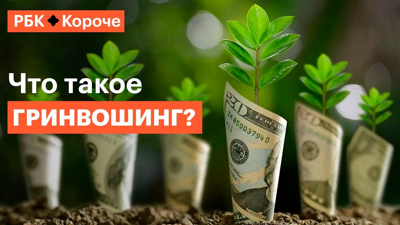 5 минут о том, как экомаркировки обманывают нас