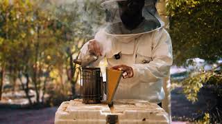Inside Hatta’s Honey Bee Garden