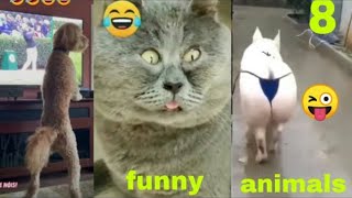 FUNNY CAT MEMES COMPILATION OF 2022 Part 52 | FUNNY CAT MEMES  CLEAN 2022 by Animal Society 5 views 1 year ago 2 minutes, 40 seconds
