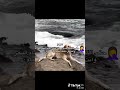 طالبه اكسبلور اهميه لايك اعتني التراجم ترند المراه تصميمي تصميمي ورك