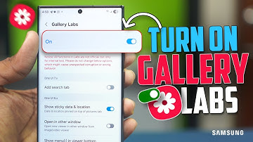 How to Turn On Samsung Gallery Labs | Hidden Settings Unlock