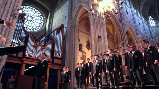 Video thumbnail of "The Georgia Boy Choir - The Lord Is My Shepherd"