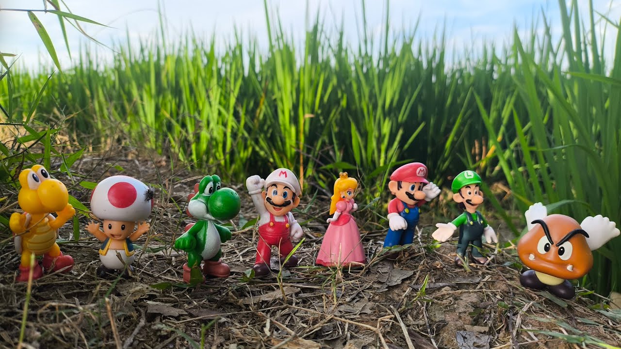 Super Mario Bros: Mario | Luigi | Princess peach | Yoshi | Toad | Koopa troopa | Paragoomba | Bowser