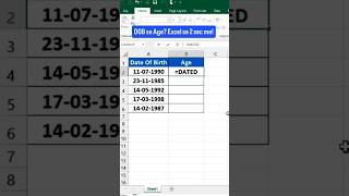 Excel Age Calculation Formula | DATEDIF Function Tutorial #Shorts