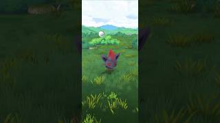 Did you know that Zorua is From Unova Region?