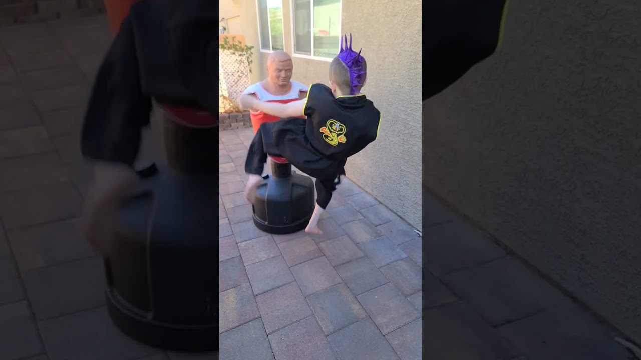 Hawk's Spinning Roundhouse 🔥 