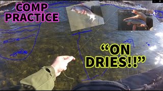 Fish RISING Everywhere! | Comp Practice 3 | Winter Fly Fishing and Euro Nymphing