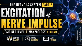 The Nervous System Part 2 | Excitation of Nerve Impulse | CSIR NET Life Sciences & MSc Zoology