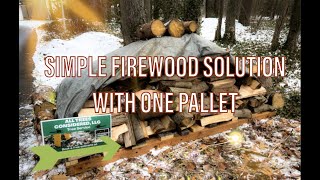 Huge Hickory Tree Removal Next To House - Expert Rigging POV
