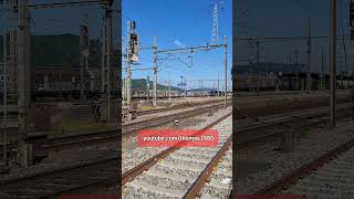 Train Race / Bahnhof Killwangen-Spreitenbach, Kanton Aargau, Schweiz 2023 / #shorts