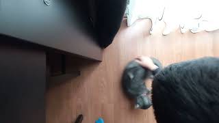 Miya 10Tur Dönüyo