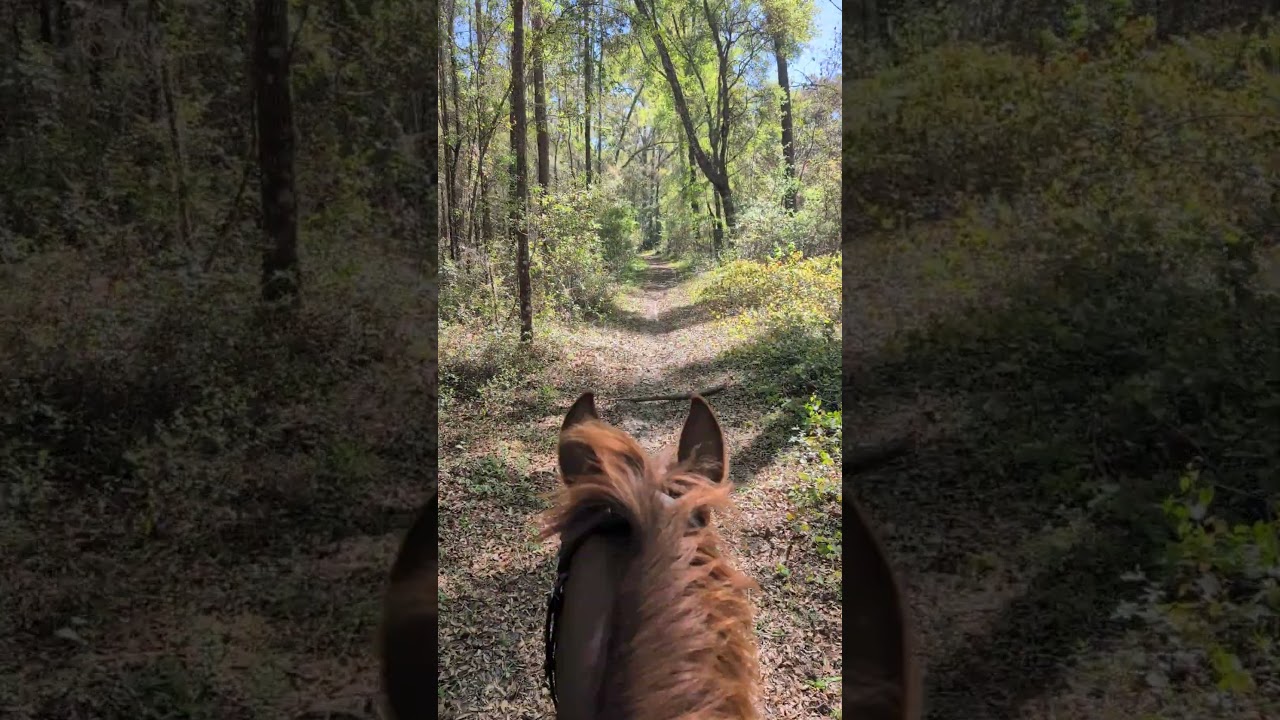 #higherconsciousness