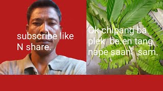 Plek ba ok chipang aro baktang nape saani sam.