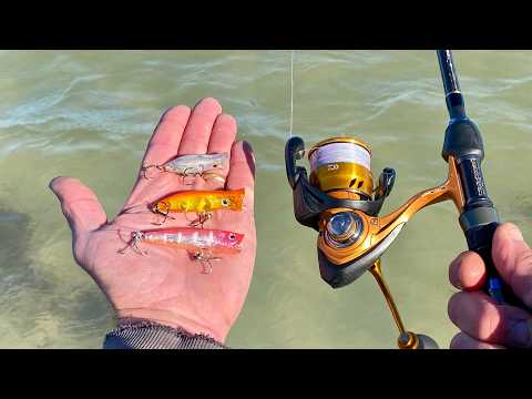 MICRO POPPER MADNESS!