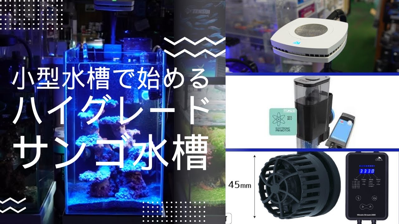 303050小型ハイタイプでLED照明AI Prime 16HDとTUNZE DOC Skimmer