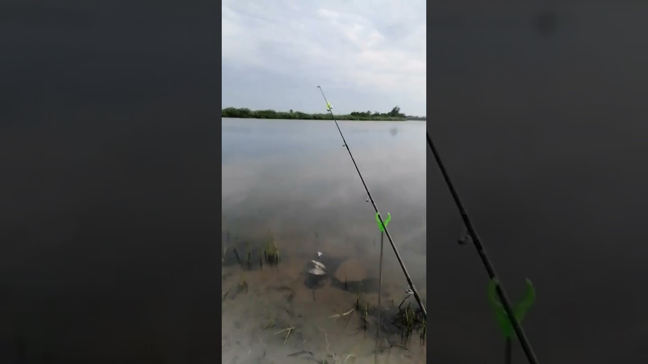 Донки стоят, завод верит фосфор.