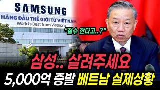 5,000억원 뺏고, 배신했다가...삼성 떠나자 베트남 몰락한 충격적인 이유