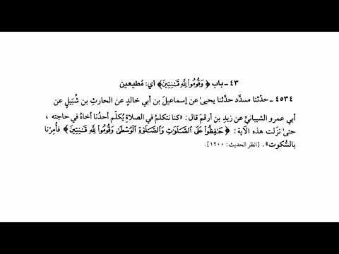 4534 حديث كنا نتكلم في الصلاة يكلم أحدنا أخاه في حاجته صحيح البخاري