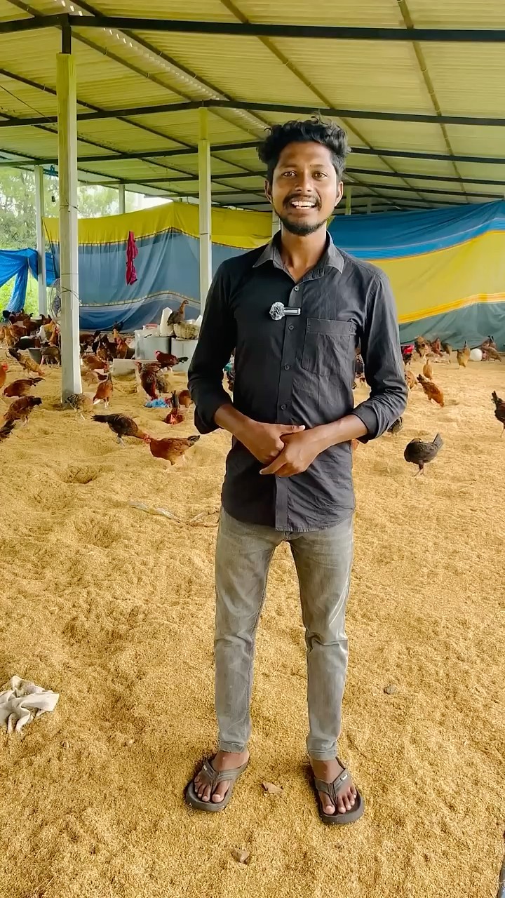 🐈బుజ్జి పిల్లులు🐱 - ShareChat