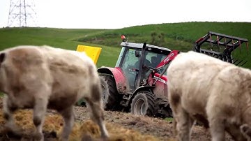 Chainless X5000   North America