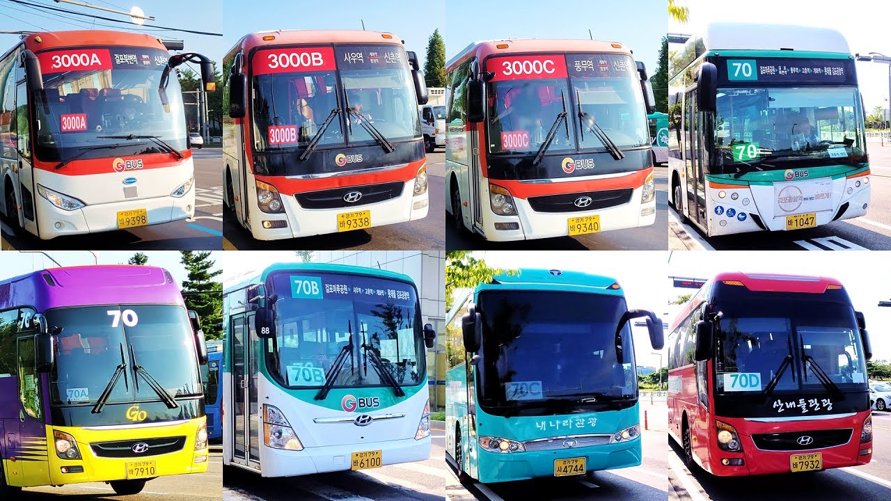 출근시간 운행하는 김포 골드라인 대체 버스들