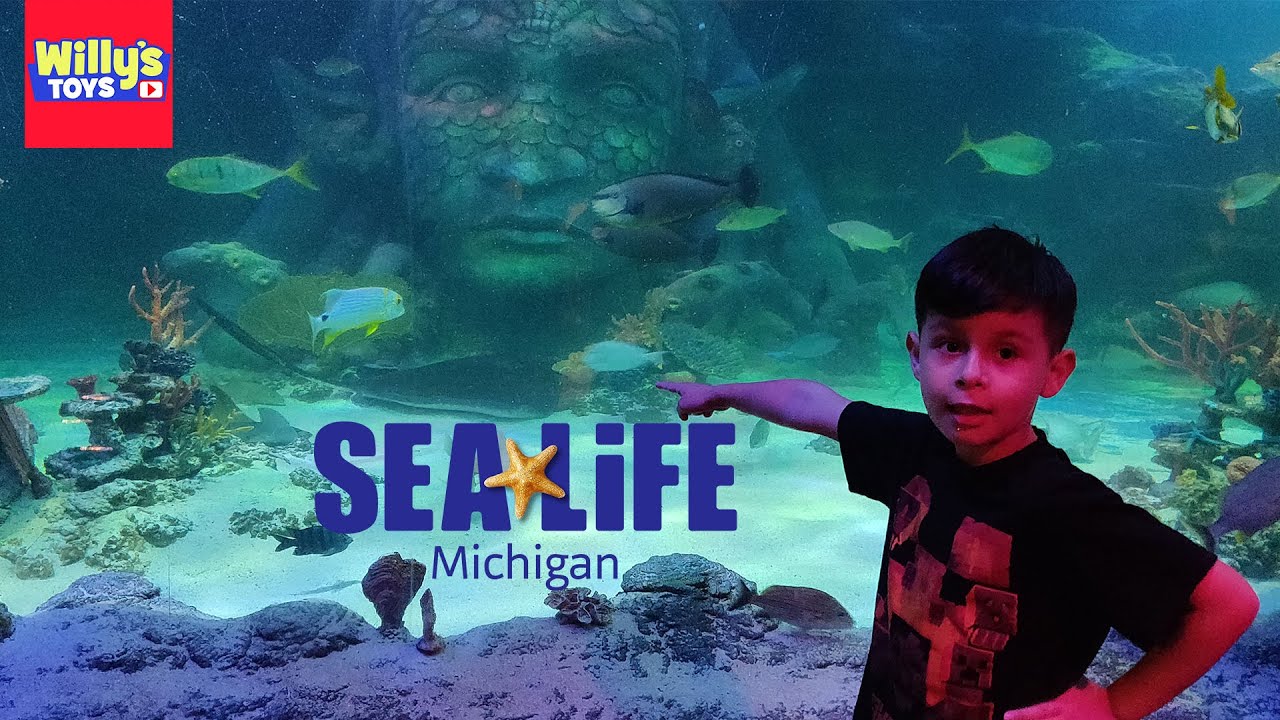 SEA LIFE Michigan Aquarium at Great Lakes Crossing Outlets Full Tour