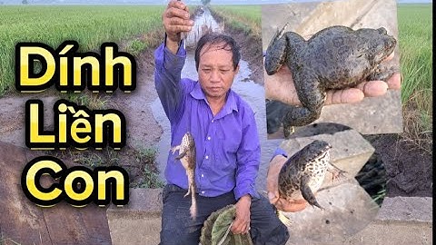 Đi cắm câu_Cắm câu ếch địa điểm mới dính liền con đụng độ bầy ếch con_Cà Kê Vlog