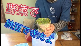 野菜くず｜使い捨てカイロ｜発泡スチロール｜で納豆作りましょう