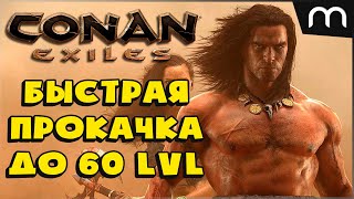 БЫСТРЫЙ СТАРТ ДО 60 УРОВНЯ Conan Exiles ПРОКАЧКА УРОВНЯ