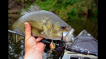 Ultimate FX Overview