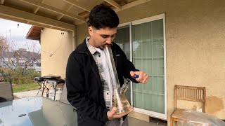 BONG RIP AFTER BONG RIP 💨