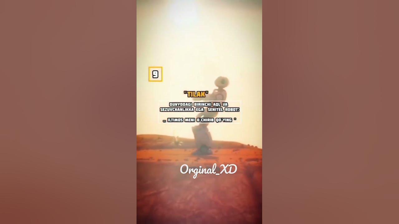 Òqilgan hikoyalar hayotiy - YouTube