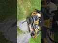 Broken Broken