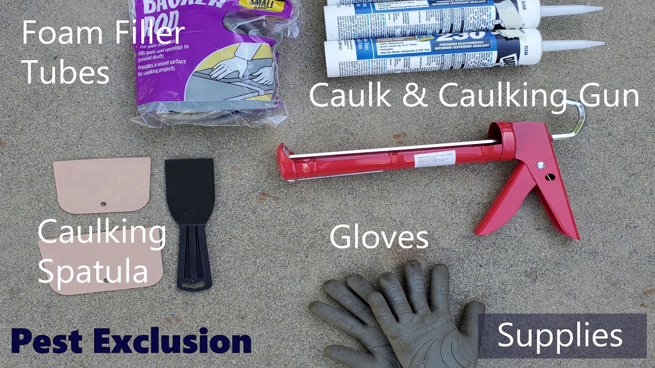 At Home IPM: Spider Exclusion