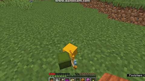 Random Item Giver 1.14.4 Datapack Overview