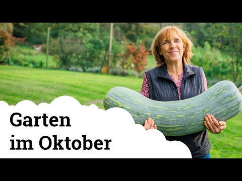 Video: Gartenarbeiten im Oktober – Was im Südwesten zu tun ist