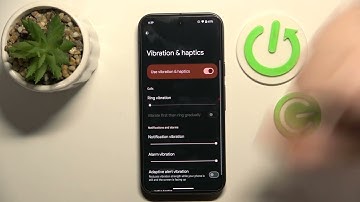 How to Enable or Disable Call Vibrations on Google Pixel 9 | Quick Settings Guide