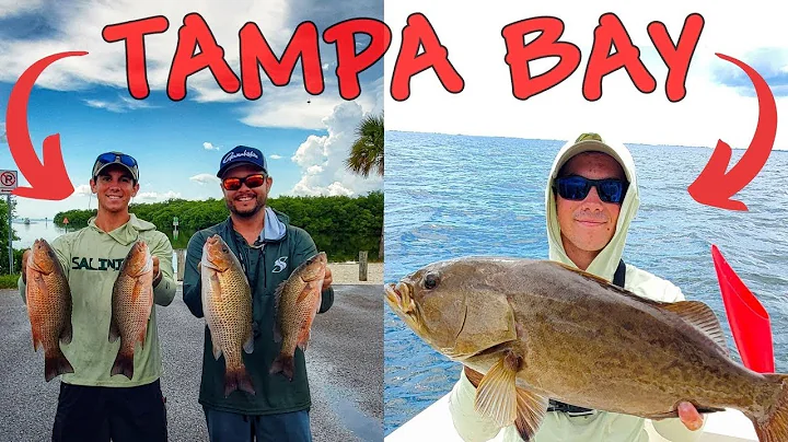 Tampa Bay Grouper and Snapper Fishing with Capt Joshua Taylor