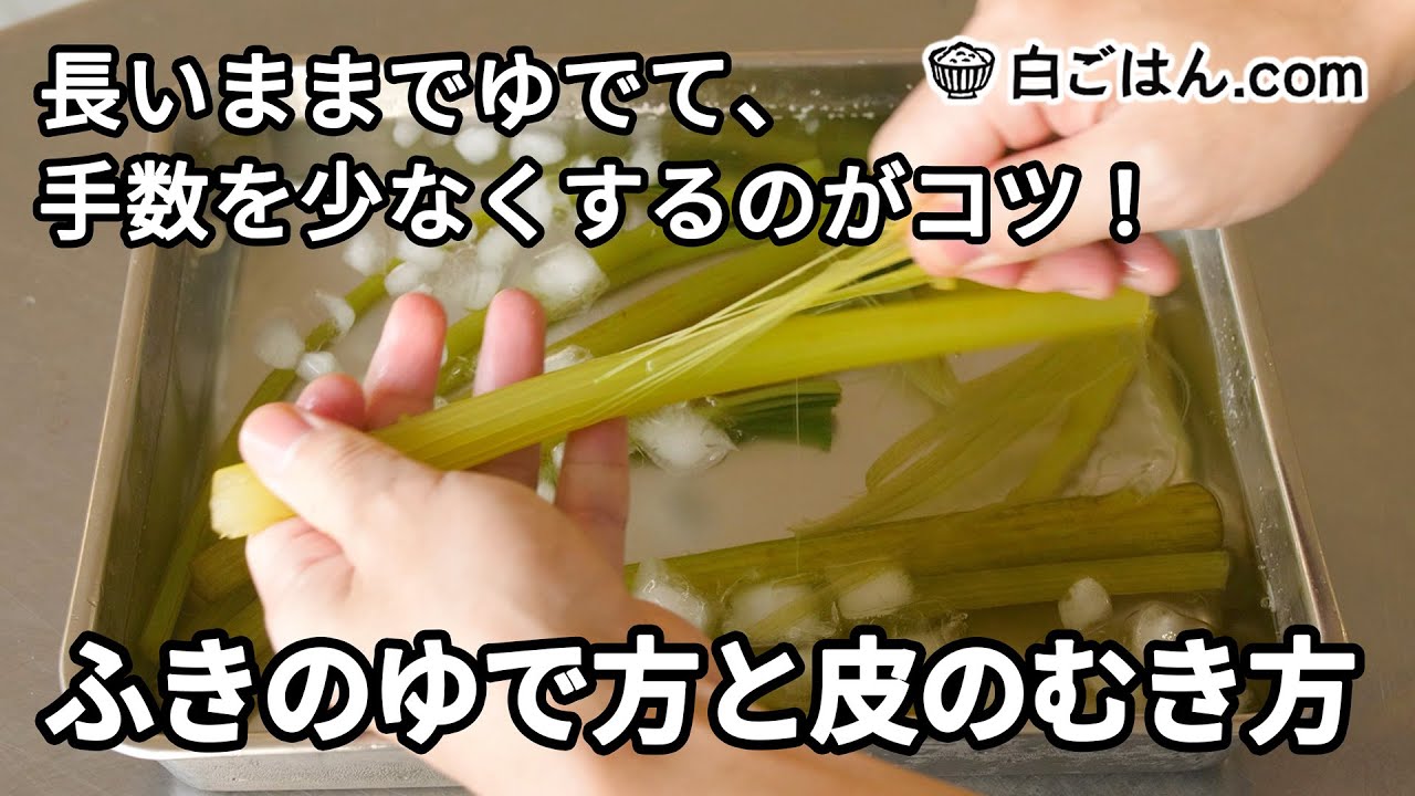 ふきの保存方法と賞味期限は 下ごしらえ 下処理の方法 腐るとどうなる 旬の時期も 食生活研究所 食 ラボ