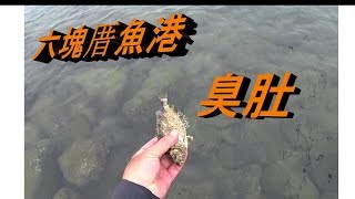 釣魚Fishing-10 六塊厝漁港~小小臭肚