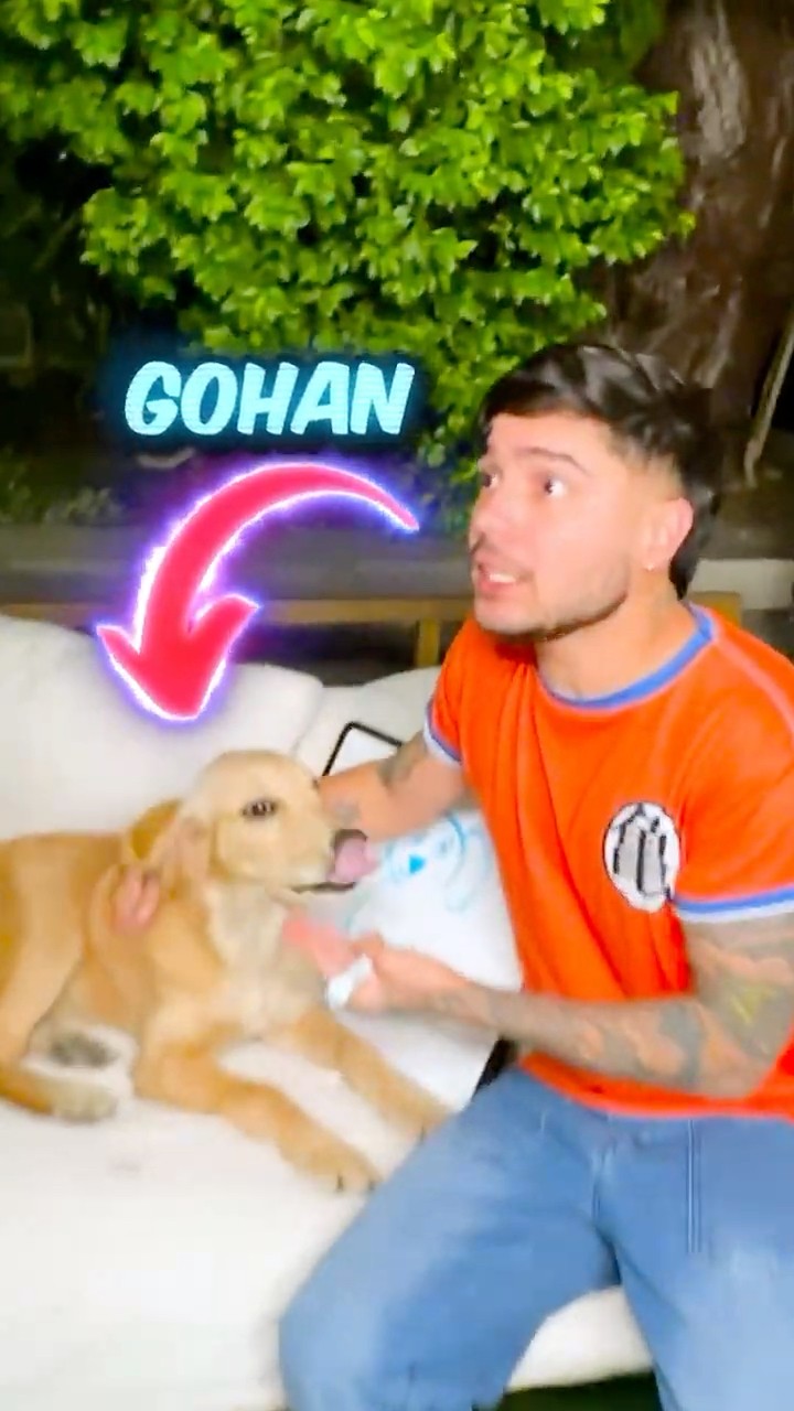 Si Dibujas el PERRITO te lo Regalo !! ?