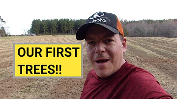 #35 Planting 600 Christmas Trees By Hand [OUR FIRST TREES] Woods Tree Farm