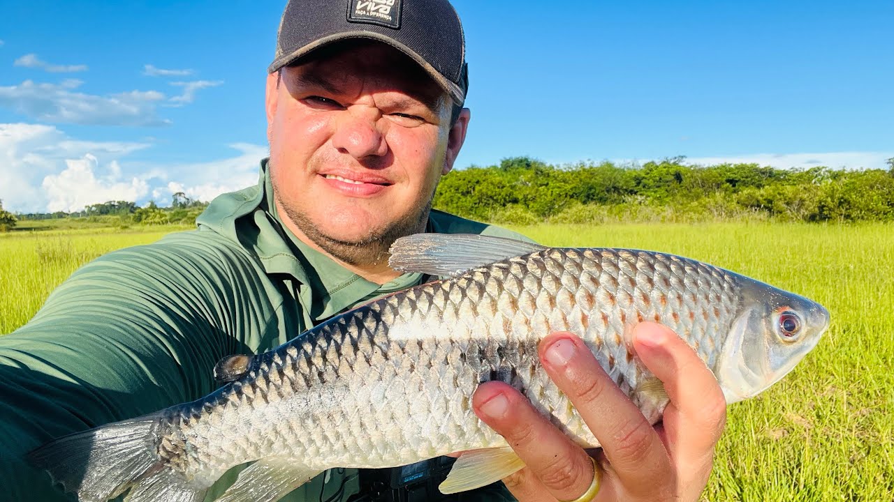 TRALHA LEVE E PIAU GIGANTE, EMOÇÃO GARANTIDA!!!