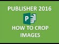 Publisher 2016 - Cropping an Image - How to Crop Images Pictures & Picture to Shape in MS Microsoft