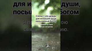 Благодарим Бога за наши слёзы❤️ А.Конанос «Христос – это свобода» #бог #святойдух #иисусхристос